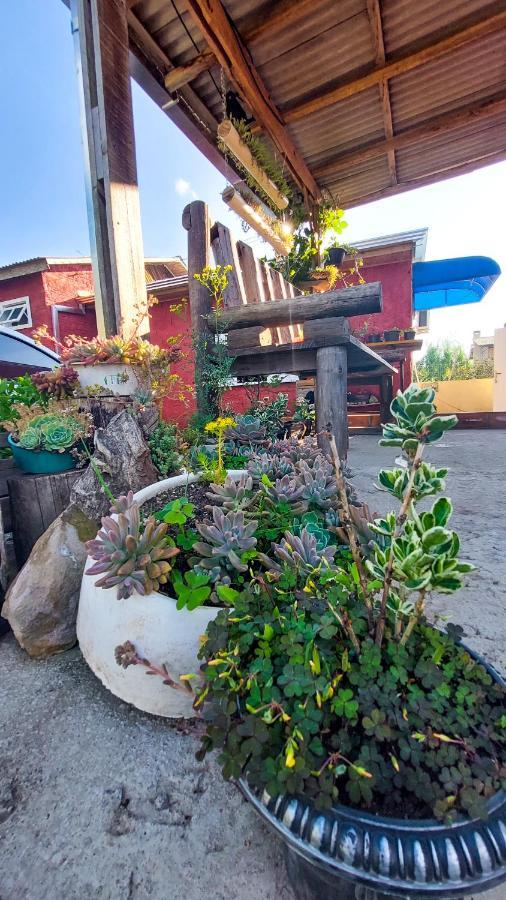 Hostel Cape Town - Cambará Zewnętrze zdjęcie
