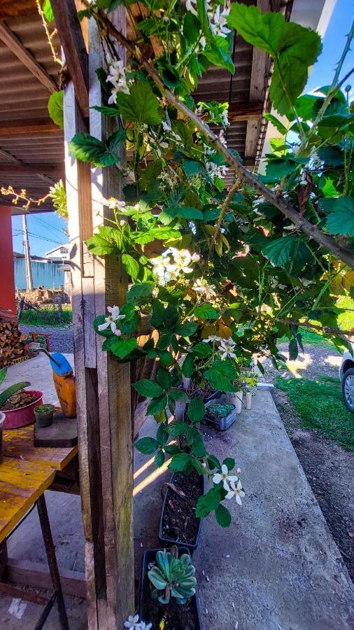 Hostel Cape Town - Cambará Zewnętrze zdjęcie